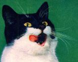 This cat with its amazing, lip-licking tongue is from a Whiskas advert of 1964